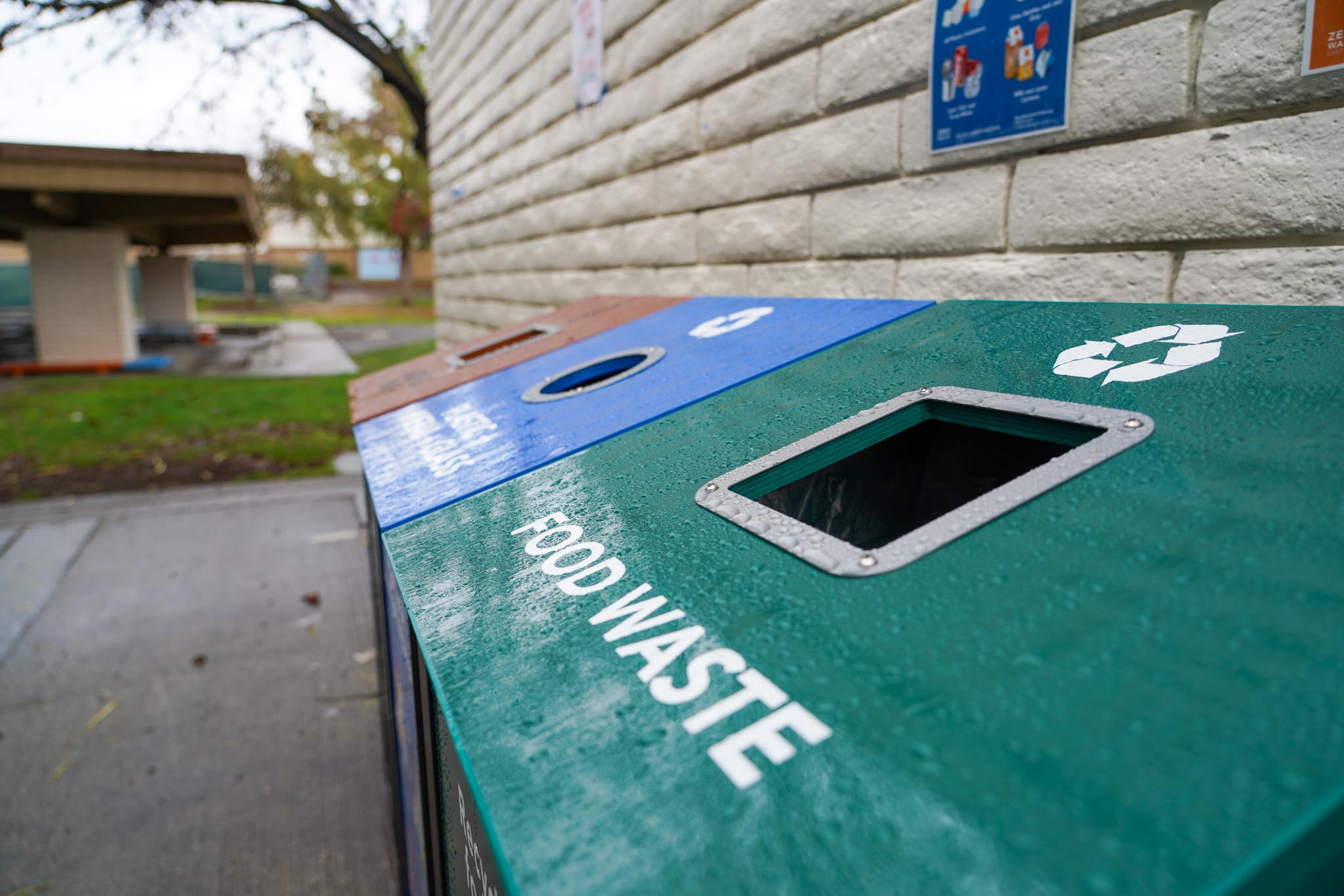 Close-up of food waste bin – A close-up view of green, blue, and brown recycling bins, focusing on the food waste bin with a recycling symbol.