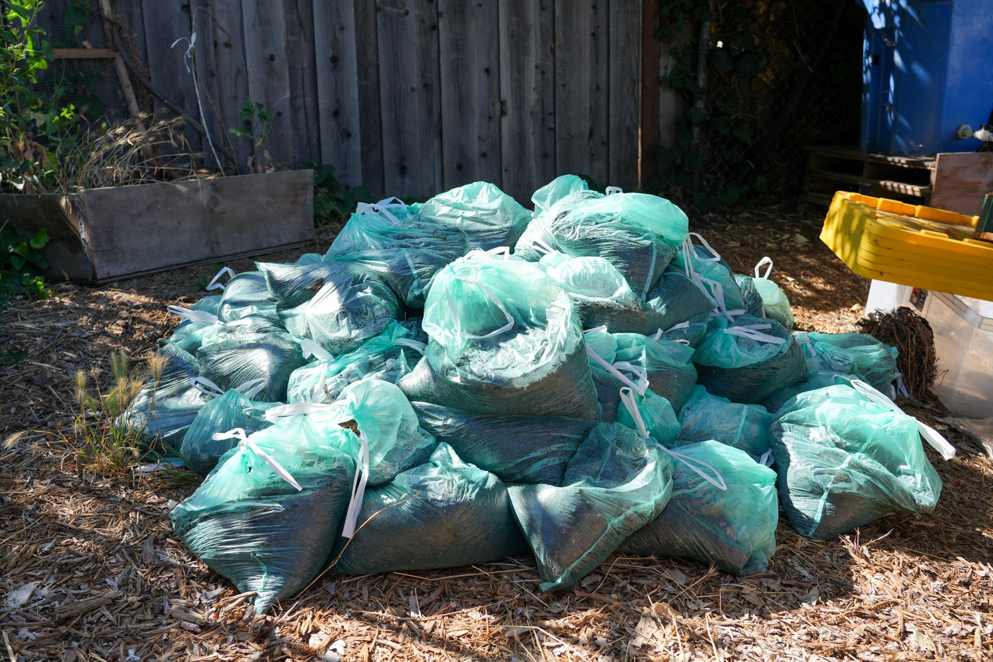 compost pile