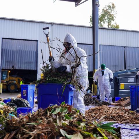 Corp members sorting green waste – Corp members in white protective suits sort branches and organic debris into blue recycling bins during a waste audit.